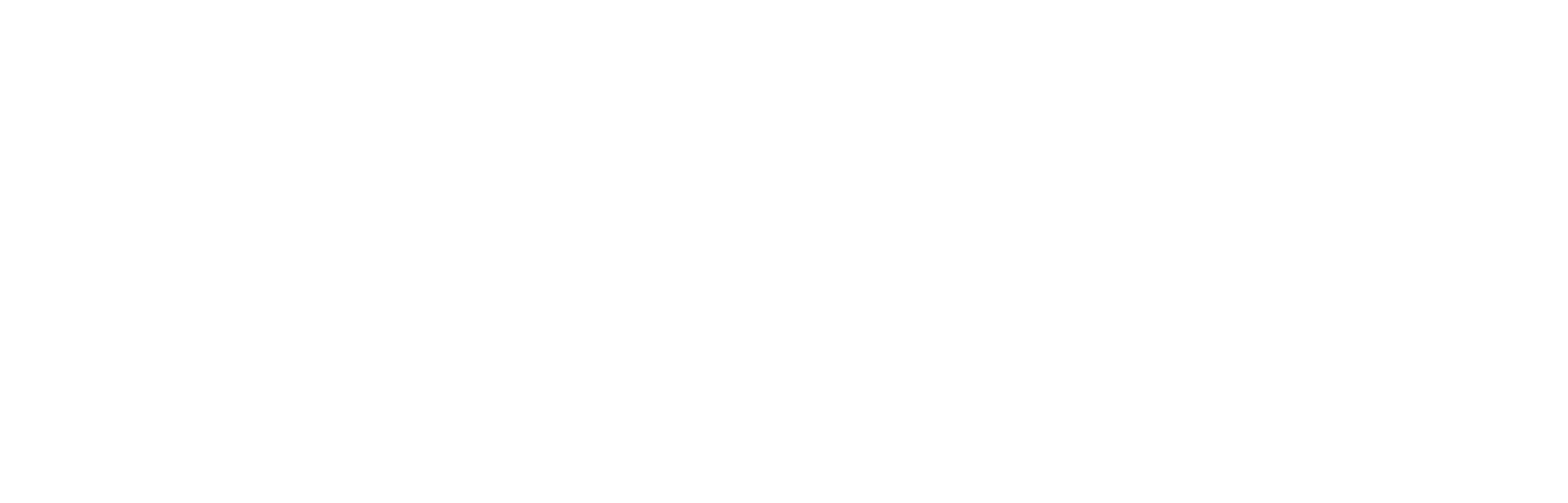 SynergyLynk